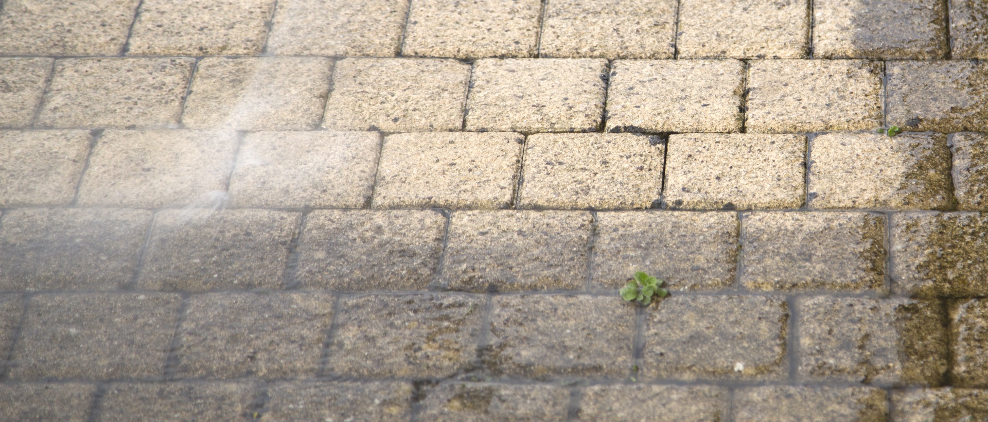 flagging and patios IG7