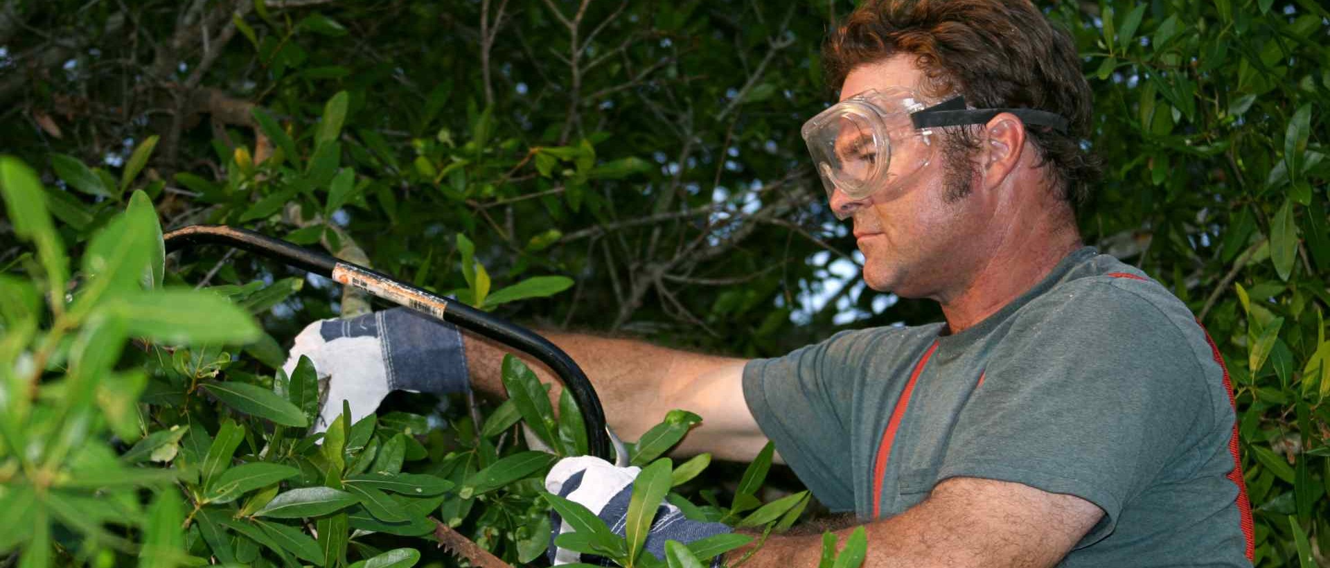 garden clearance IG7